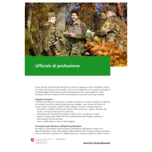 DDPS - Ufficiale di professione