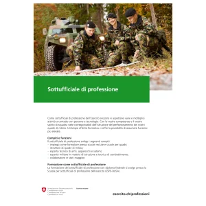 DDPS - Sottufficiale di professione