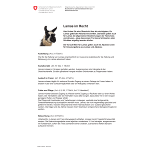 Merkblatt Lamas im Recht