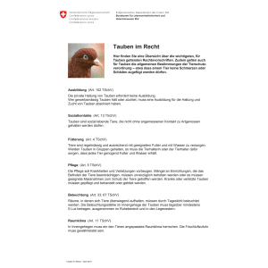 Merkblatt Tauben im Recht