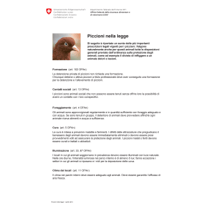Promemoria Piccioni nella legge