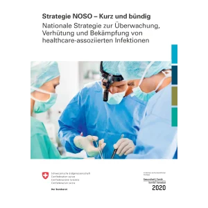Strategie NOSO - Kurz und bündig
