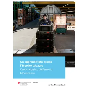 DDPS - Apprendist BLEs - CLE Monteceneri