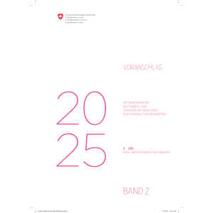 Voranschlag 2025 - 3 EDI