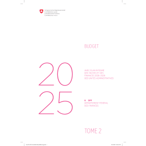 Budget 2025 - 6 DFF