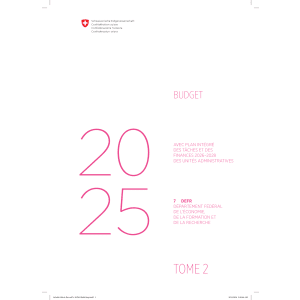 Budget 2025 - 7 DEFR