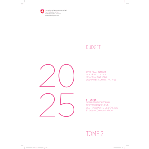 Budget 2025 - 8 DETEC