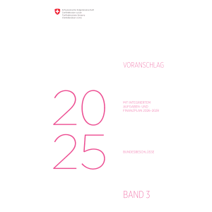 Voranschlag 2025 - Bundesbeschluss