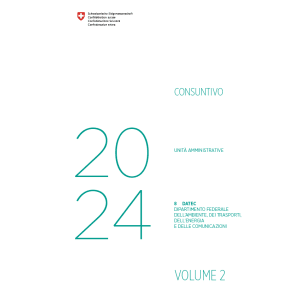 Consuntivo 2024 - 8 DATEC