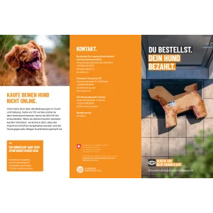 Verantwortungsvoller Hundekauf Flyer