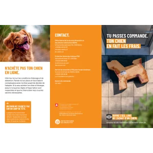 Achat responsable de chiens flyer