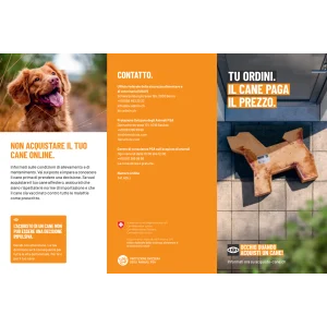 Acquisto responsabile di cani flyer