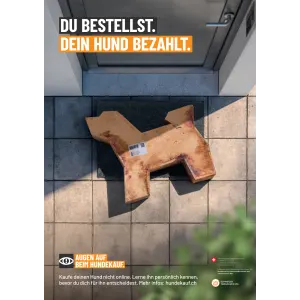 Verantwortungsvoller Hundekauf Poster A4