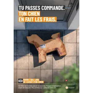 Achat responsable de chiens affiche A3