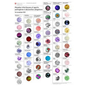 Affiche maladies infectieuses et agents