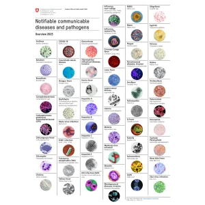 Poster Notifiable communicable diseases
