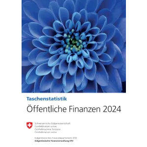 Öffentliche Finanzen 2024