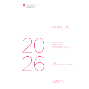 Voranschlag 2026 - 3 EDI