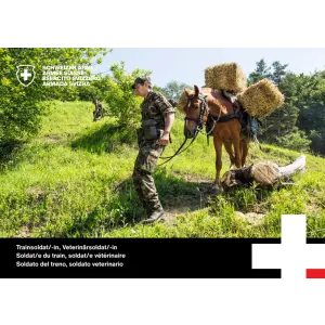 Soldat/e du train, soldat/e vétérinaire