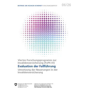 Evaluation der Fallführung, 6/26