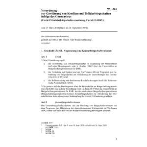 V (COVID-19) Solidarbürgschaft