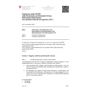 O SEFRI formazione profess. Informatico