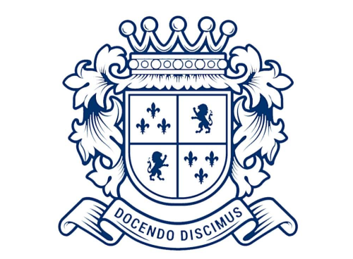 Институт профессионального образования