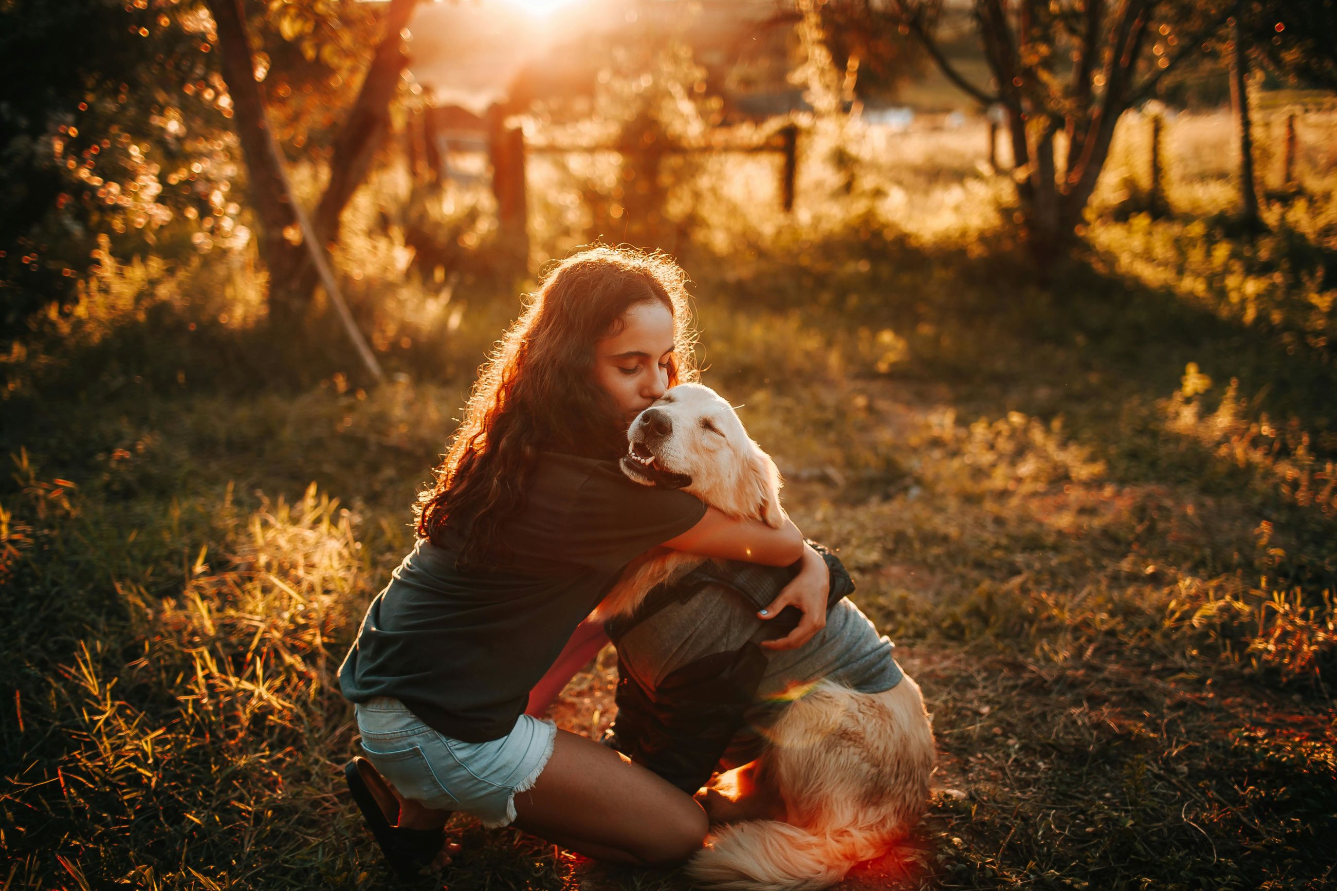 Los 7 mejores GPS para perros de 2024 🐶