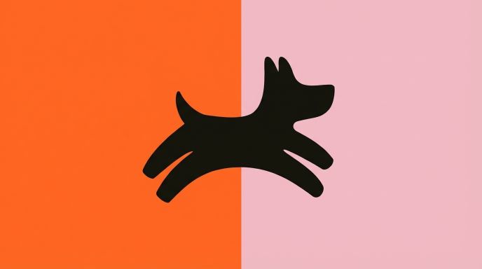 Как работает бонусная программа Четыре Лапы — полный гид