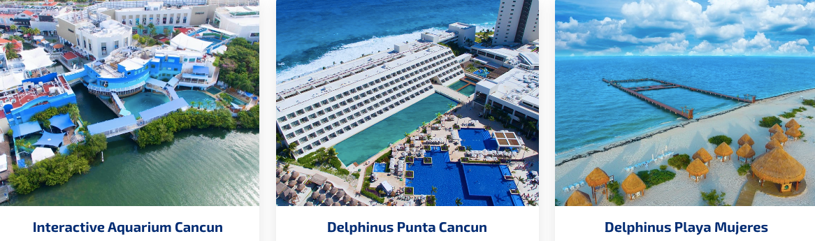Imagen 6: Use el Cupón Delphinus Imagen 6: Ofertas verificadas - Cupones Delphinus