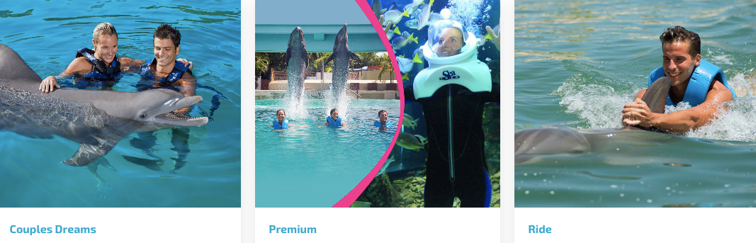 Imagen 8: Use el Cupón Delphinus Imagen 8: Ofertas verificadas - Cupones Delphinus