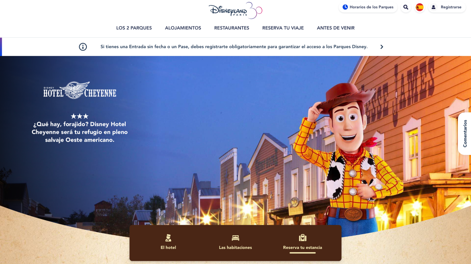 Imagen 18: Usar código promocional en Disneyland Paris