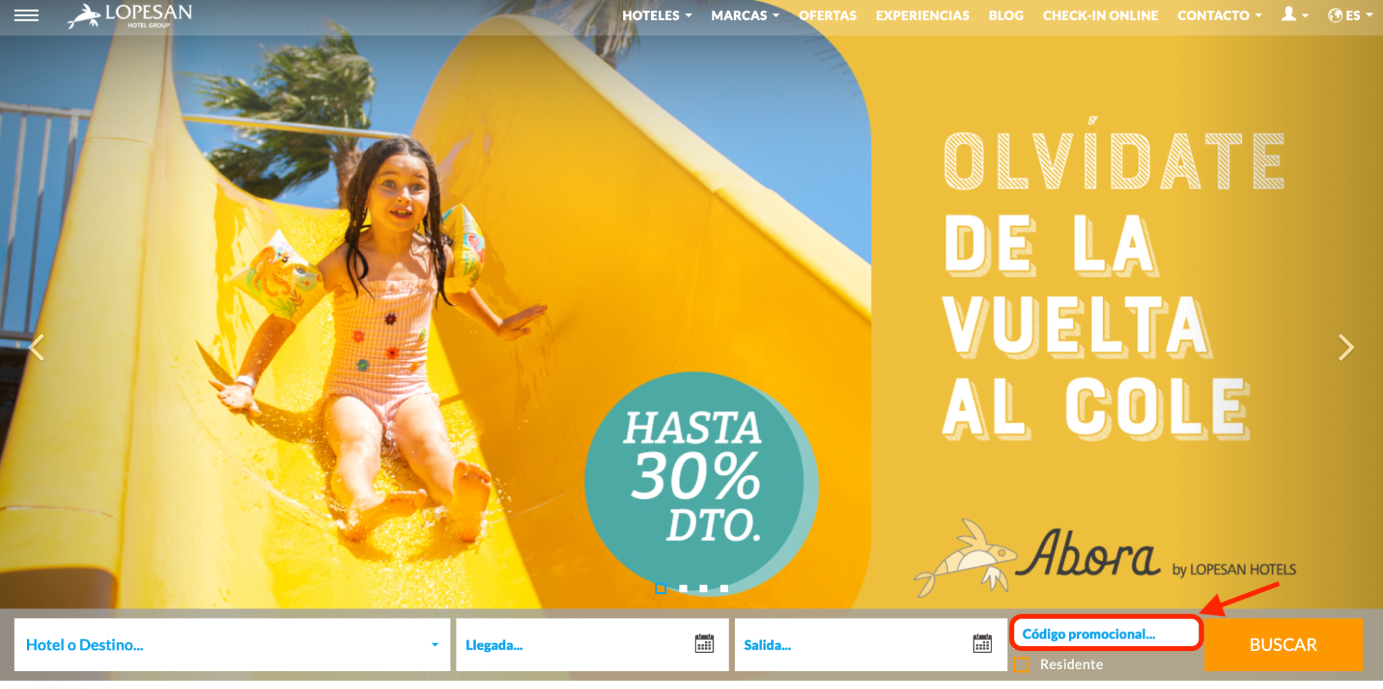 Imagen 8: Usar código promocional en Lopesan