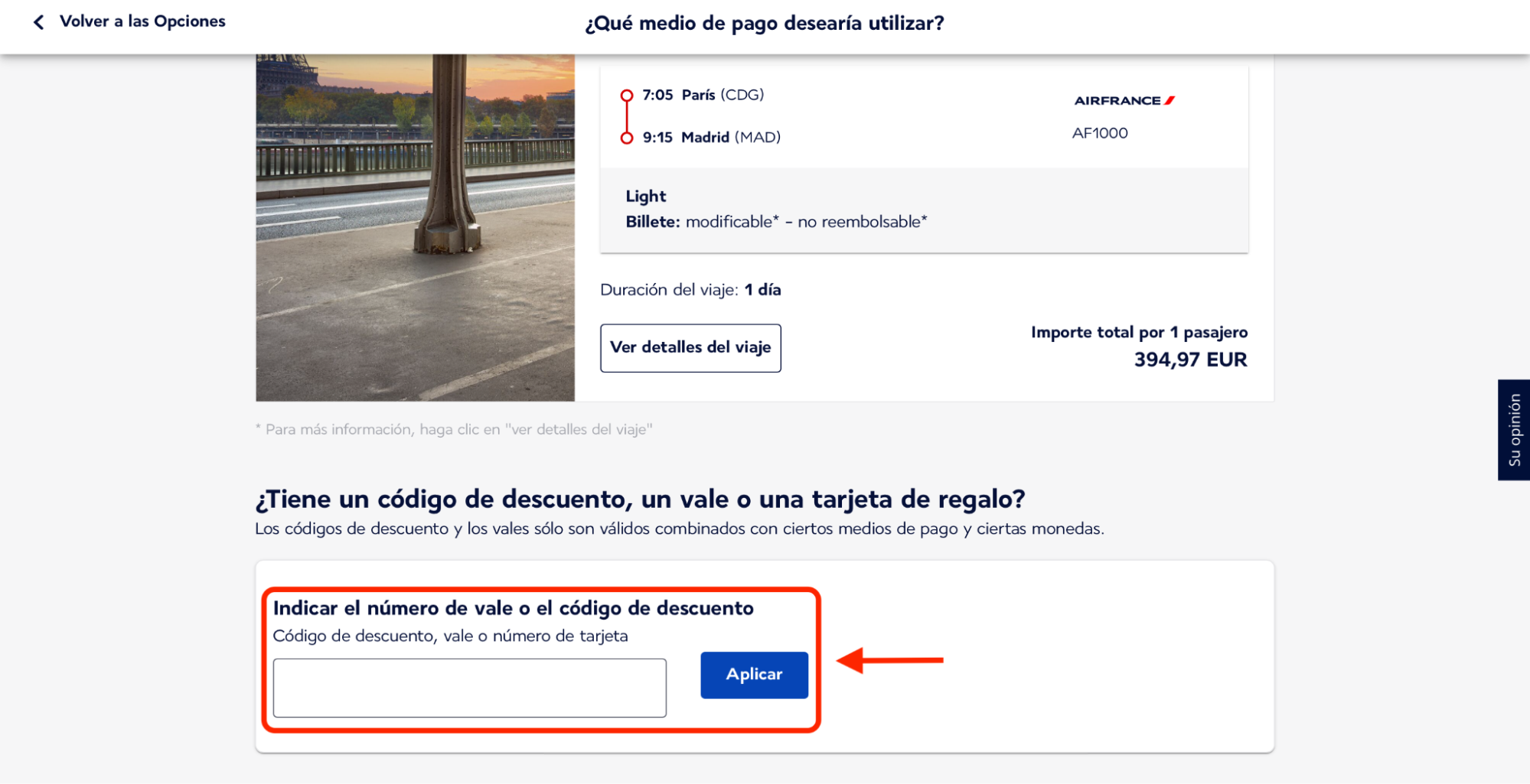 Imagen 14: Usar código promocional en Air France