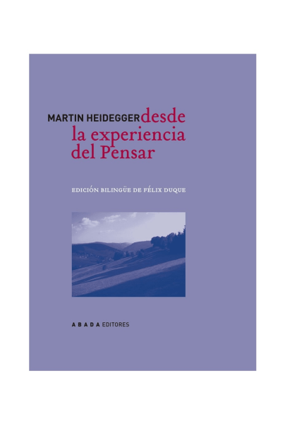 Desde la experiencia del pensar