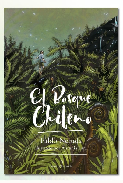 EL BOSQUE CHILENO