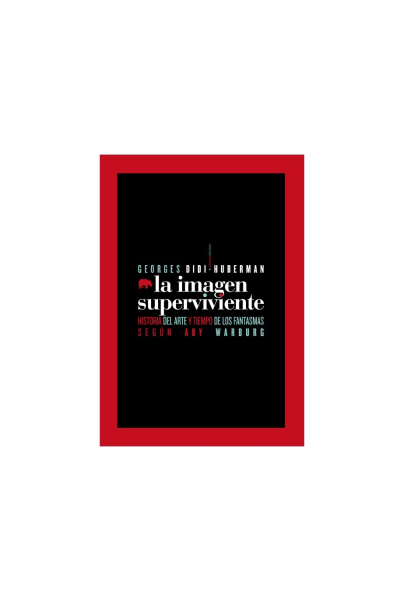 La imagen superviviente