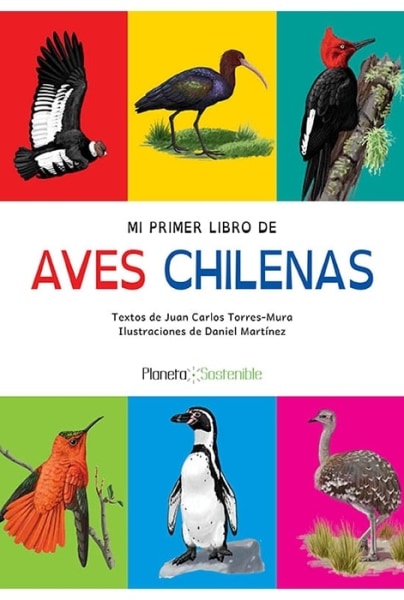 Mi primer libro de aves chilenas