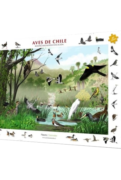 Rompecabezas / Identificación aves de Chile