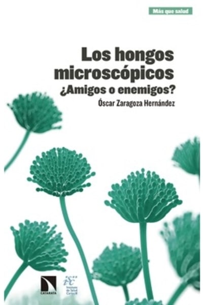 Los hongos microscópicos