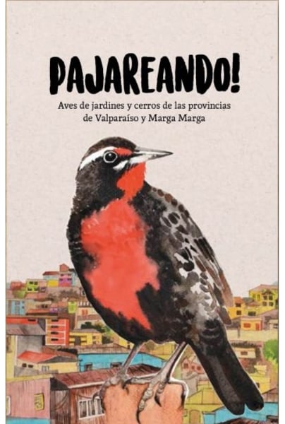 Pajareando! Aves De Jardines Y Cerros De Las Provincias De Valparaíso Y Marga Marga