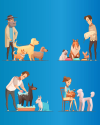 Imagen de la temática Tenencia responsable de mascotas