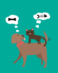 Imagen de la temática Tolerancia