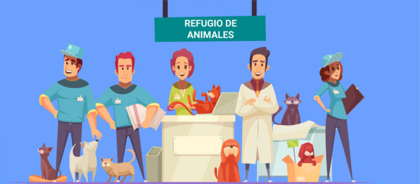 Los valores Los valores