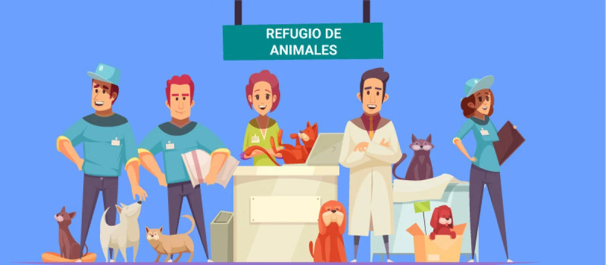 Los valores Los valores