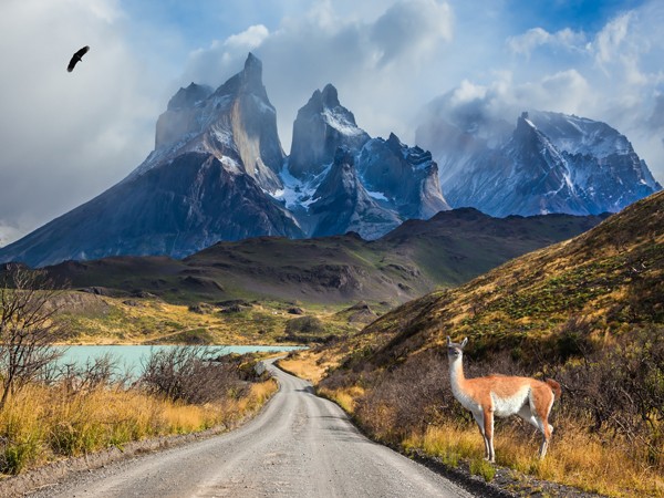 Patagonia en verano: belleza incomparable