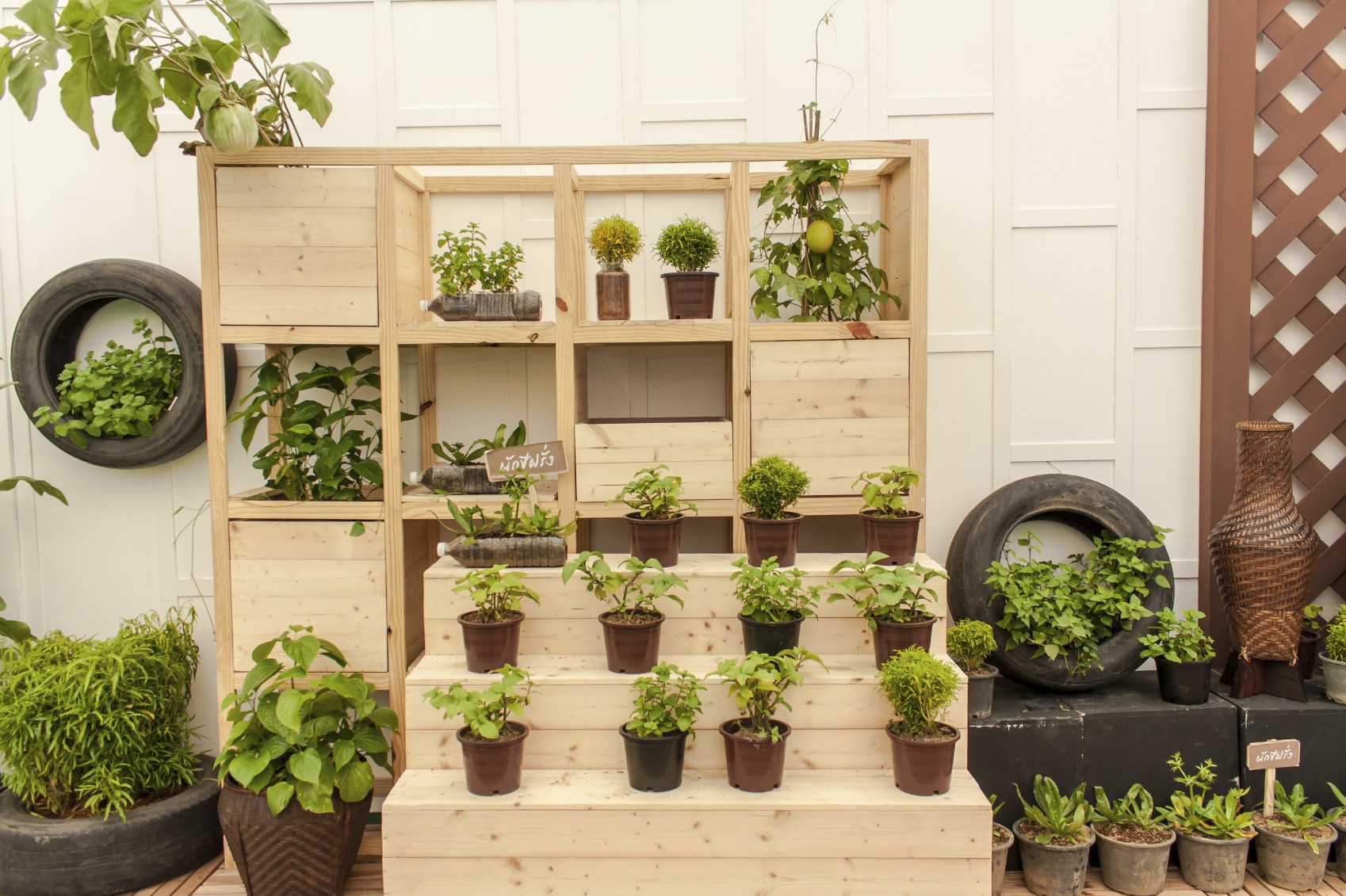 ¡Verduras que puedes plantar de manera fácil en tu casa!