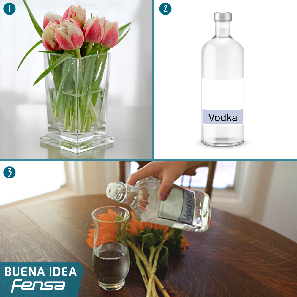 ¡Sigue este truco casero y mantén tus flores frescas!