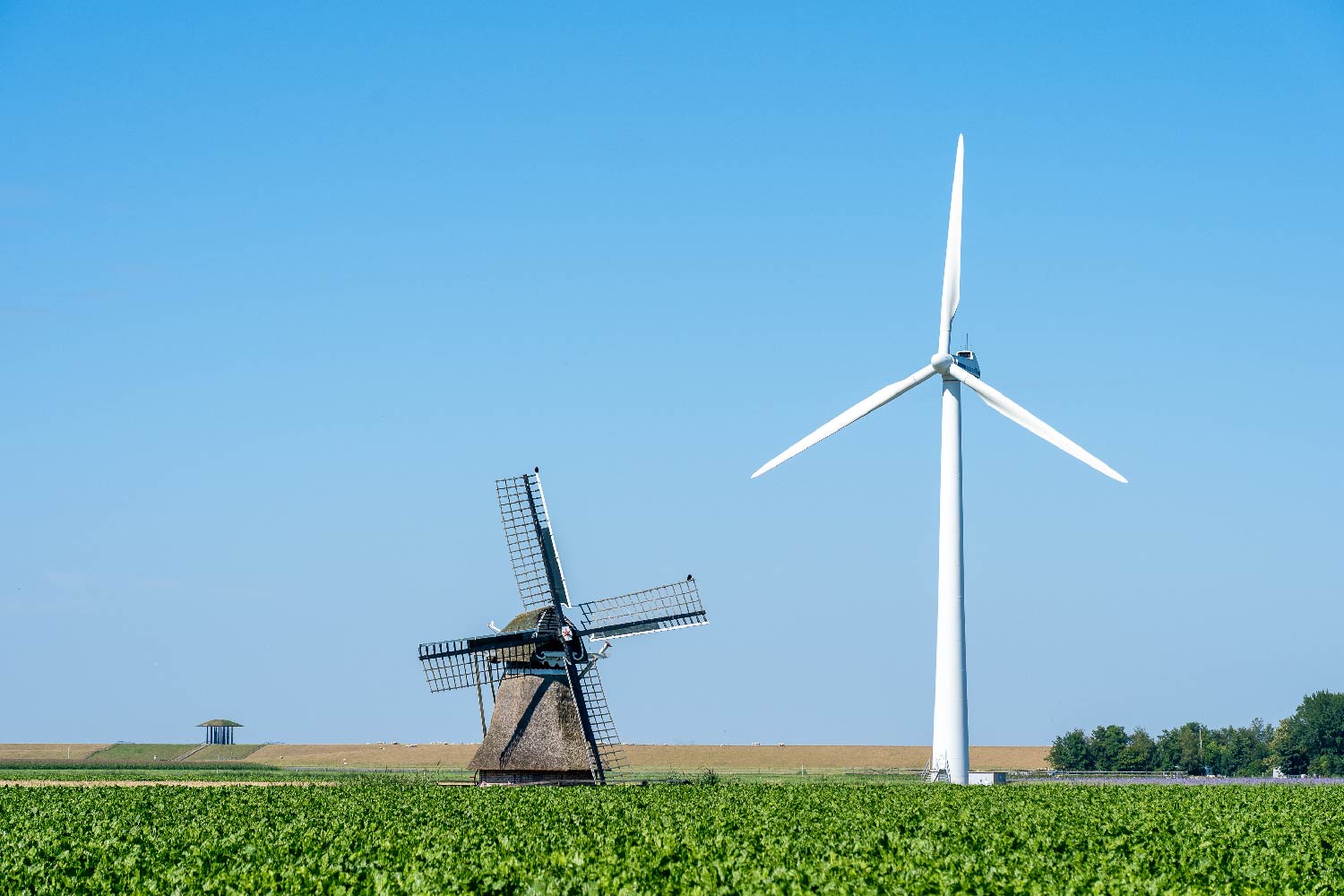 Imagen un campo con energía eólica y un molino