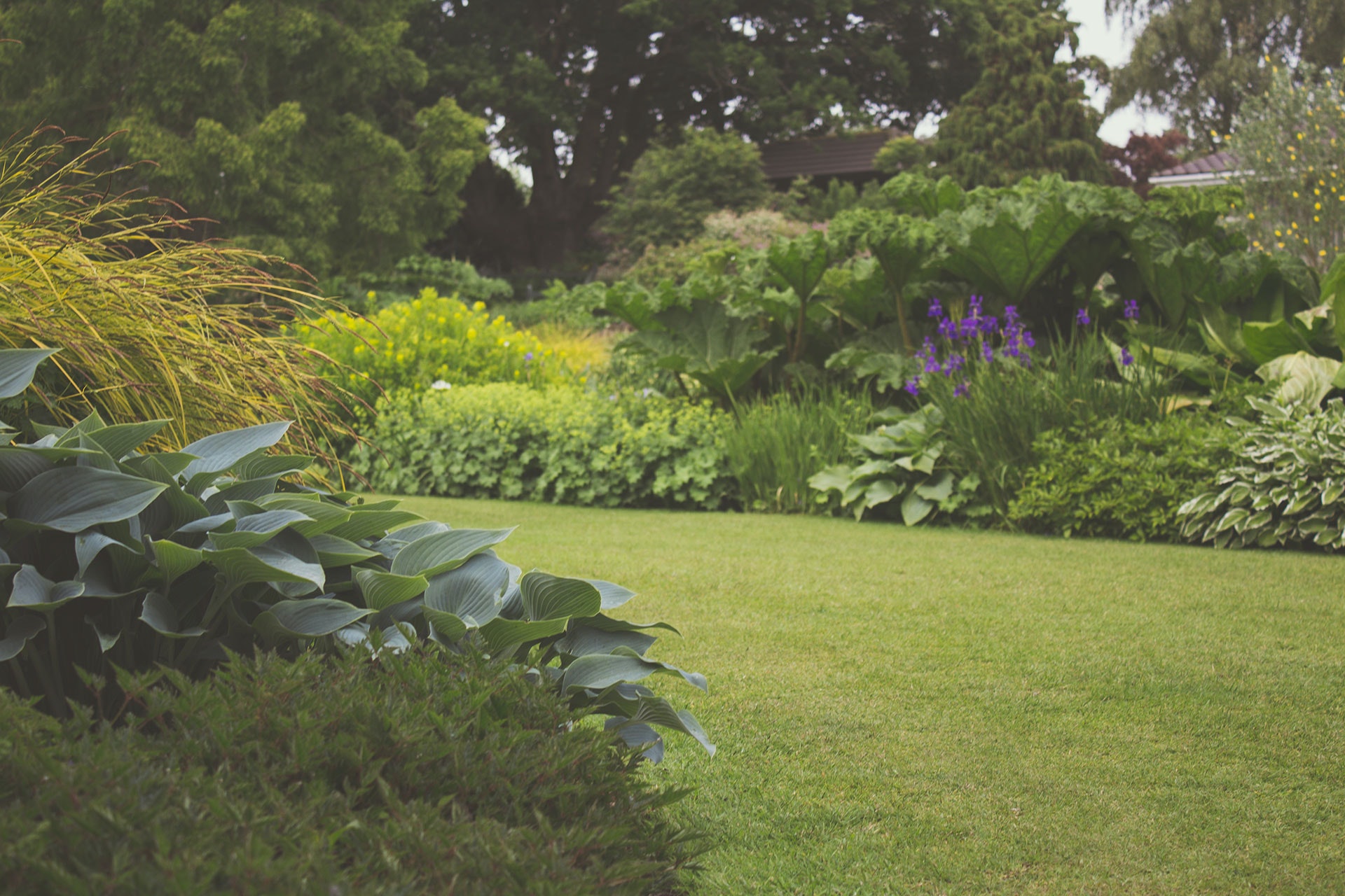 Imagen de un jardín privado